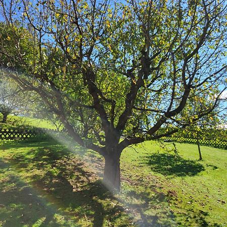 Ferienhaus Zangl Am Seggauberg - Suedsteiermark Leibnitz Ngoại thất bức ảnh