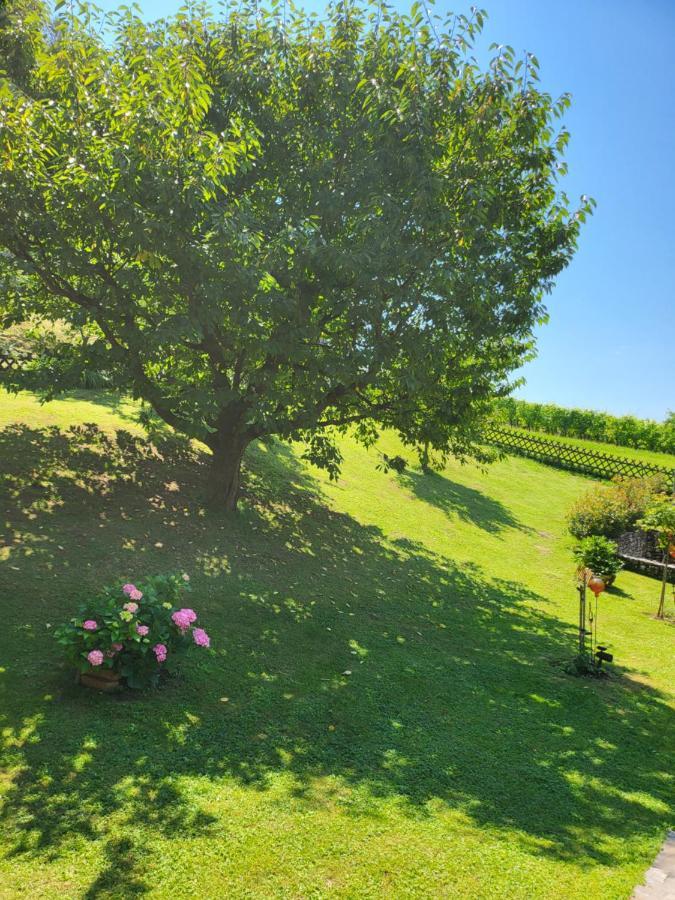 Ferienhaus Zangl Am Seggauberg - Suedsteiermark Leibnitz Ngoại thất bức ảnh