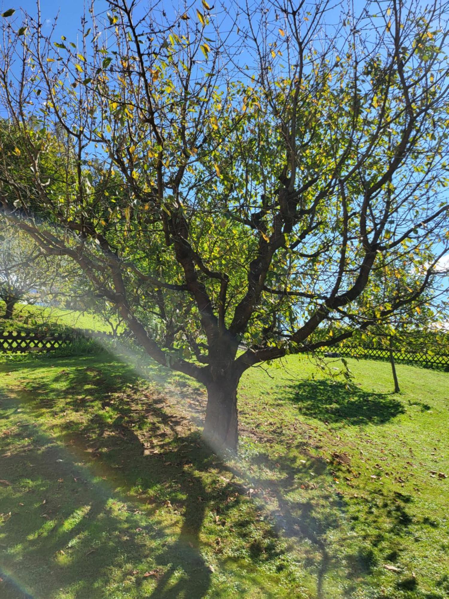 Ferienhaus Zangl Am Seggauberg - Suedsteiermark Leibnitz Ngoại thất bức ảnh