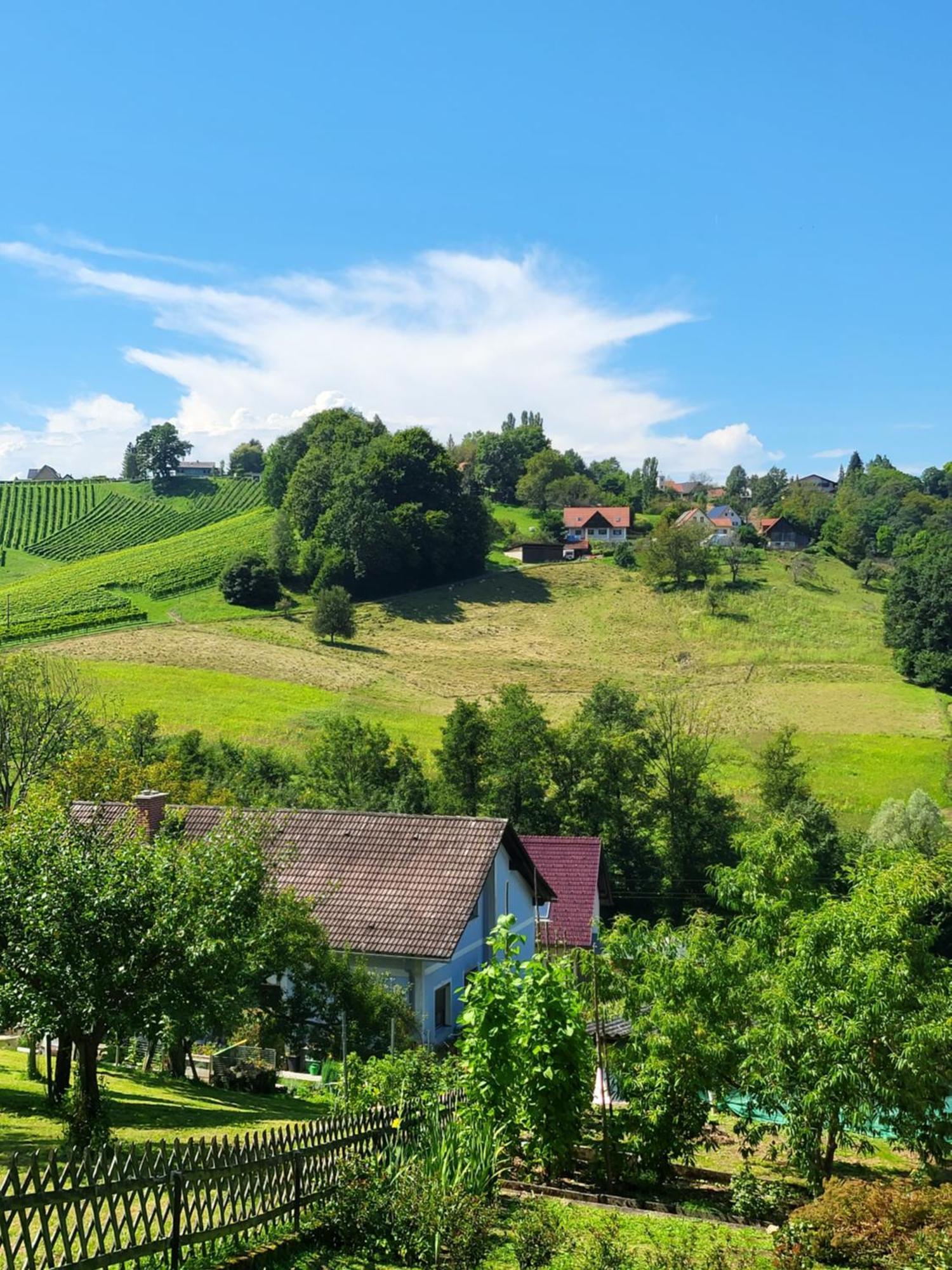 Ferienhaus Zangl Am Seggauberg - Suedsteiermark Leibnitz Ngoại thất bức ảnh