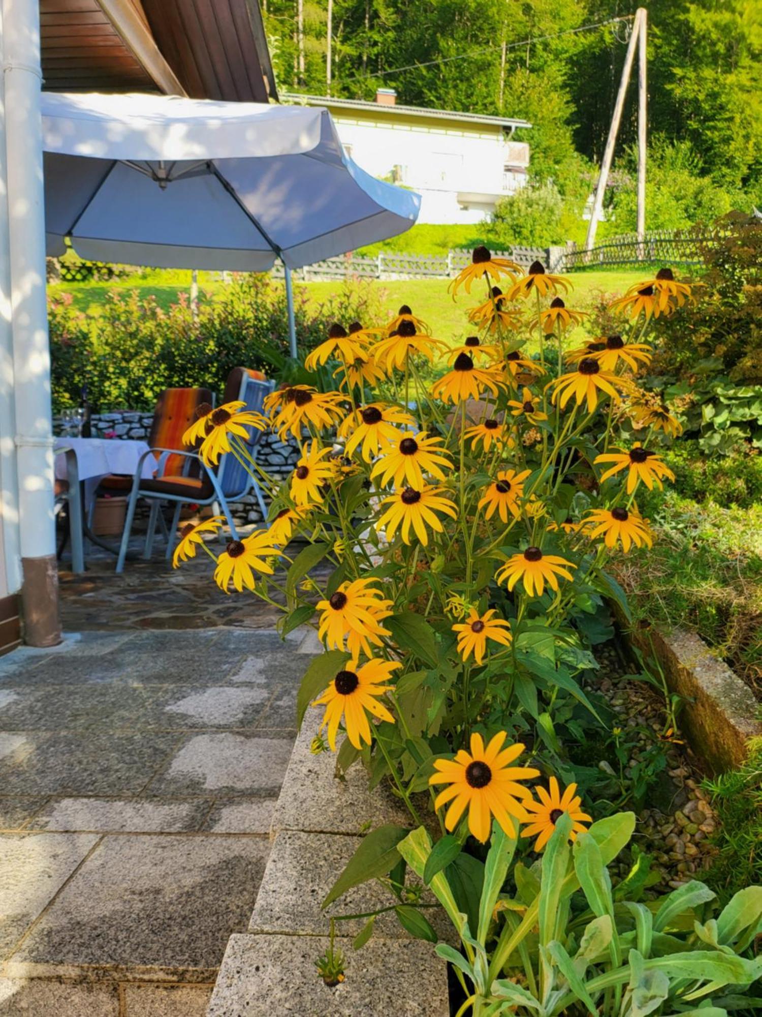 Ferienhaus Zangl Am Seggauberg - Suedsteiermark Leibnitz Ngoại thất bức ảnh